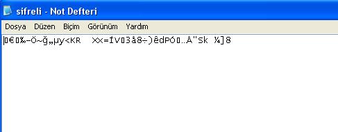 Resim1